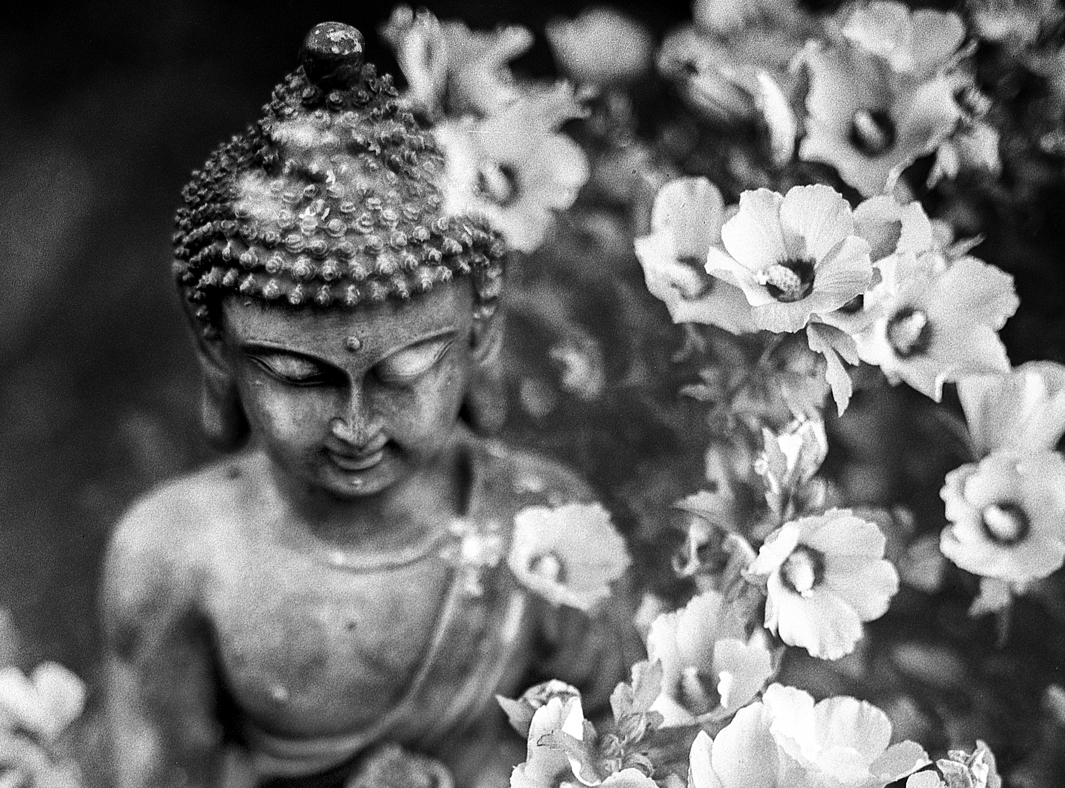 Bouddha, inspirant le massage thaï traditionnel